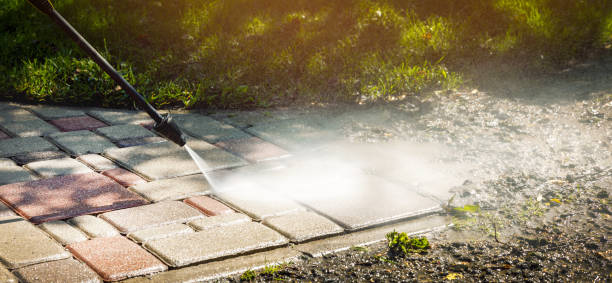 Animal Enclosure Cleaning in Wurtland, KY
