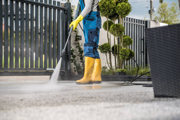 Best Fence Cleaning  in Wurtland, KY