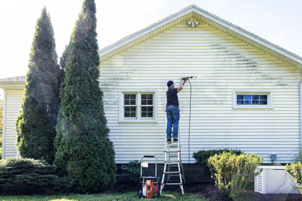 Best Solar Panel Cleaning  in Wurtland, KY